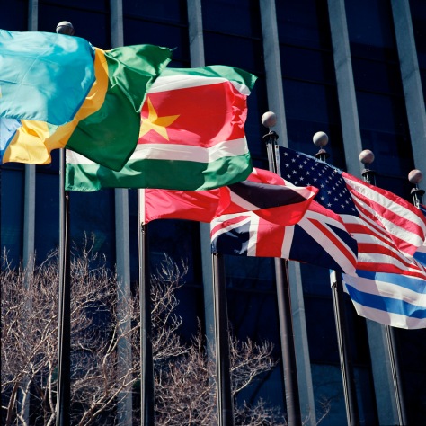Flags, Pan-American Health Organization
